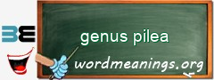 WordMeaning blackboard for genus pilea